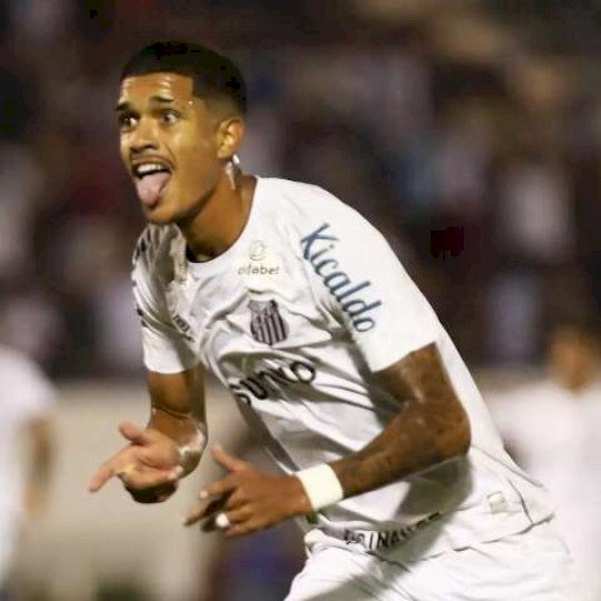 Jogos de Botafogo e Santos abrem quartas de final da Copa São Paulo
