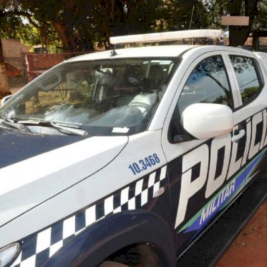 Cachorro desnutrido e infestado por carrapatos é resgatado em Anastácio