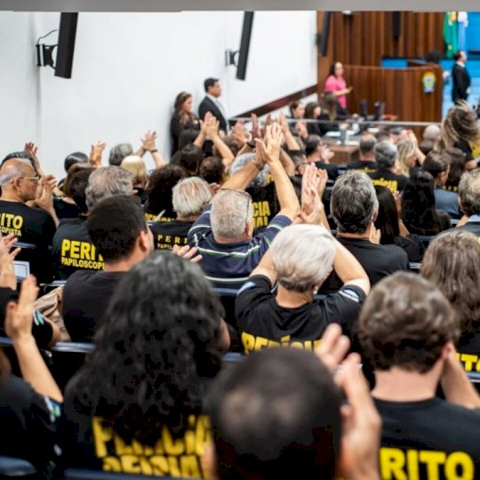 STF confirma constitucionalidade de legislação de MS sobre papiloscopia