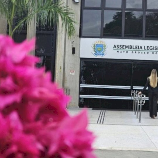 Assembleia terá Procuradoria da Mulher para promover direitos e combater a violência de gênero