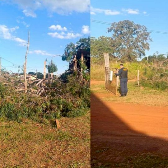Homem é esmagado enquanto cortava árvore e morre em Anhanduí