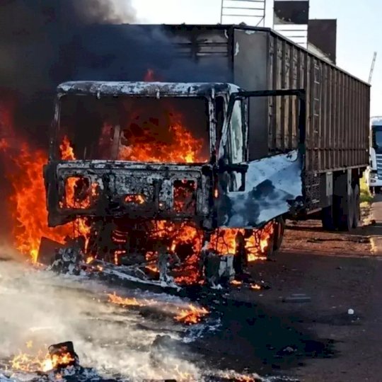 Carreta boiadeira pega fogo e bois são soltos para escapar das chamas
