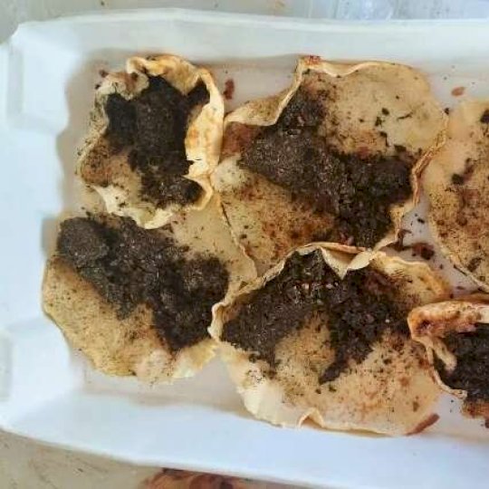 Mulher tenta entrar em pres&iacute;dio com panquecas recheadas de maconha