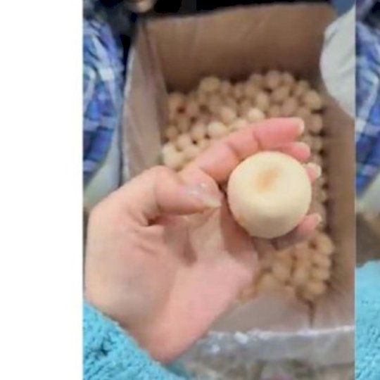 É falso: Anvisa desmente vídeo sobre presença de plástico em ovos