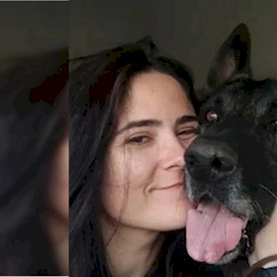 Veterinária morre após ser atacada por cão do canil do Senado Federal