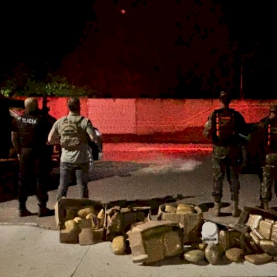 Quatro são presos durante ação da Polícia Federal e do Exército
