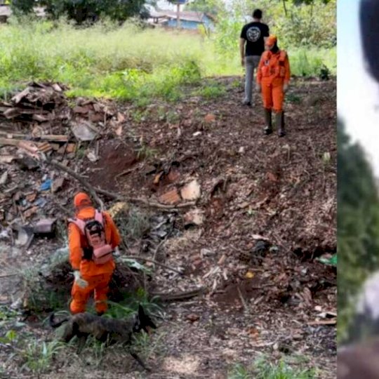 Adolescente desaparecida há dois meses é procurada em área de mata em Dourados