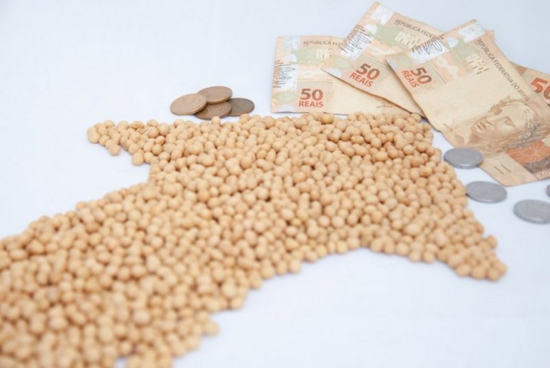 Custo de produção da soja em Mato Grosso tem aumento de 49%