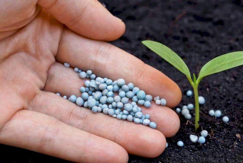 UFN-III retoma obras e coloca MS no centro da estratégia nacional para produção de fertilizantes