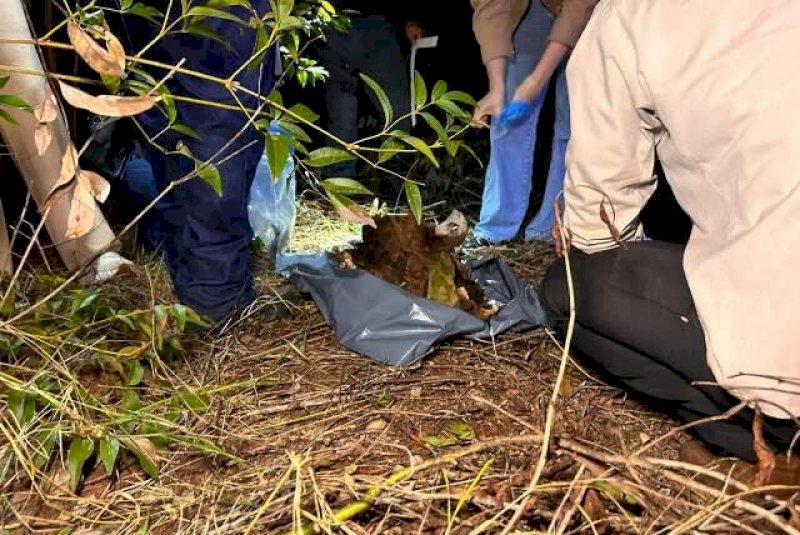 Ossada &eacute; encontrada em fazenda e pode ser de homem desaparecido h&aacute; 3 anos