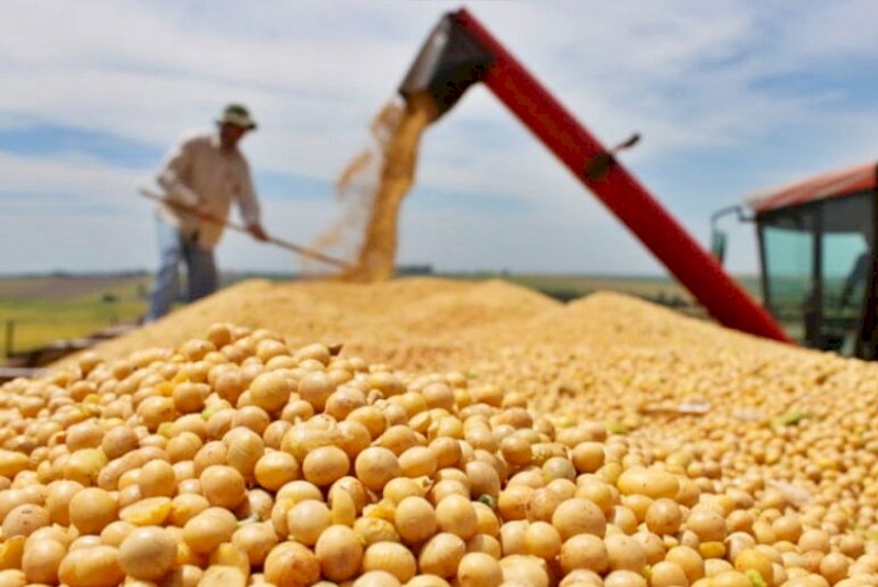 IBGE prevê safra de 29,1 milhões de toneladas de cereais, leguminosas e oleaginosas em MS