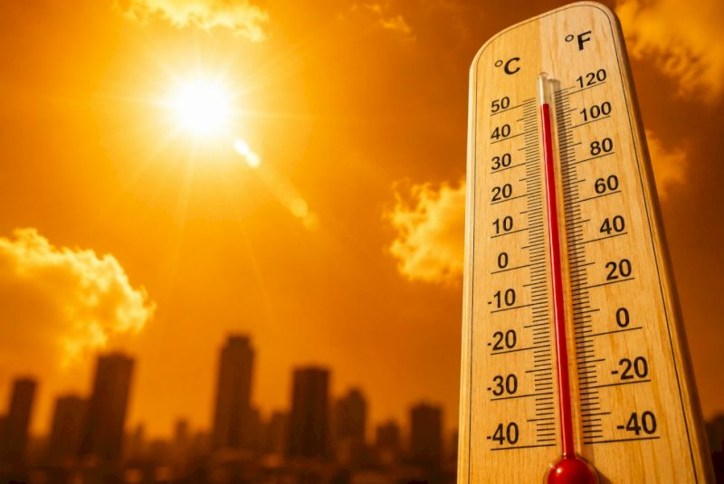 Calor extremo na Europa é prelúdio do que Brasil e Mato Grosso do Sul enfrentarão no verão