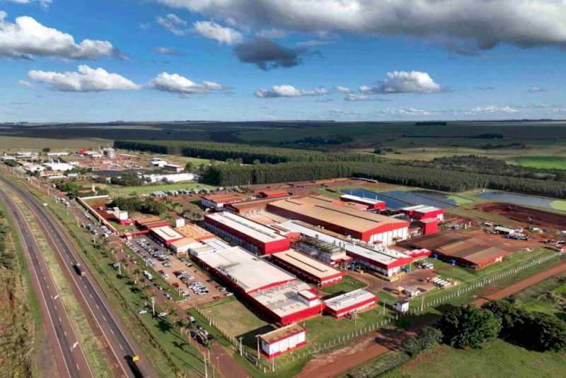 Frigorífico Aurora eleva abate para 5 mil suínos por dia em MS
