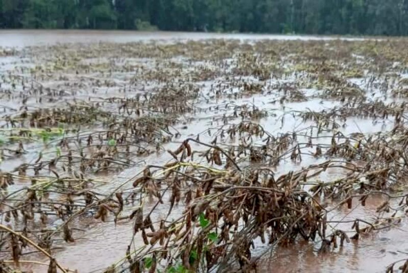 Brasil abre caminho para cr&eacute;dito bilion&aacute;rio voltado ao agro e clima