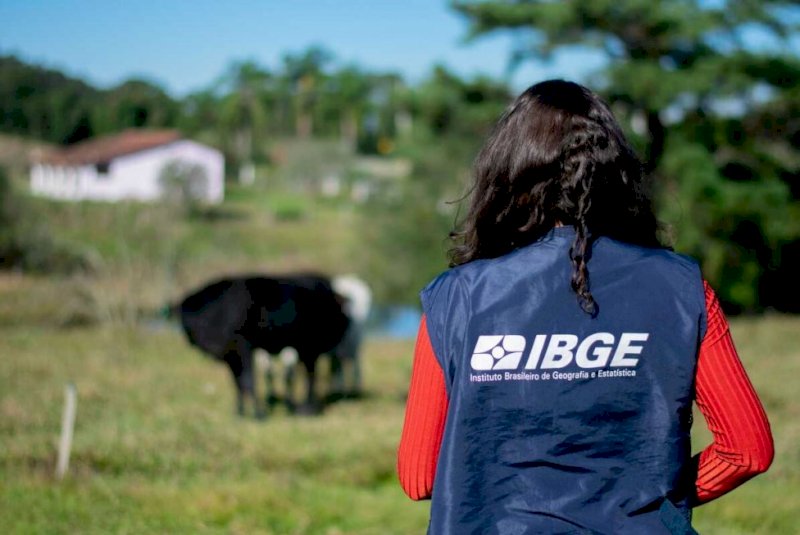 Quais capitais mais cresceram no Brasil? Veja nova lista do IBGE