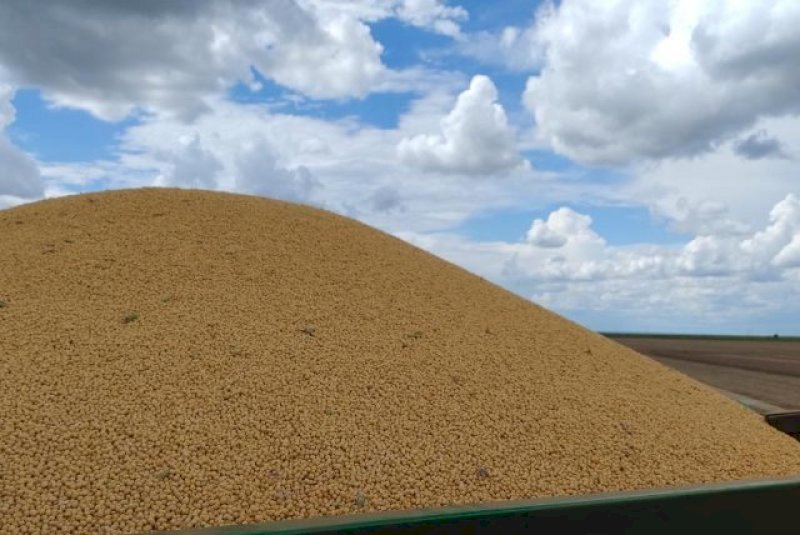 Colheita de milho passa de 1,6 milh&atilde;o de hectares em MS e chega a 75%