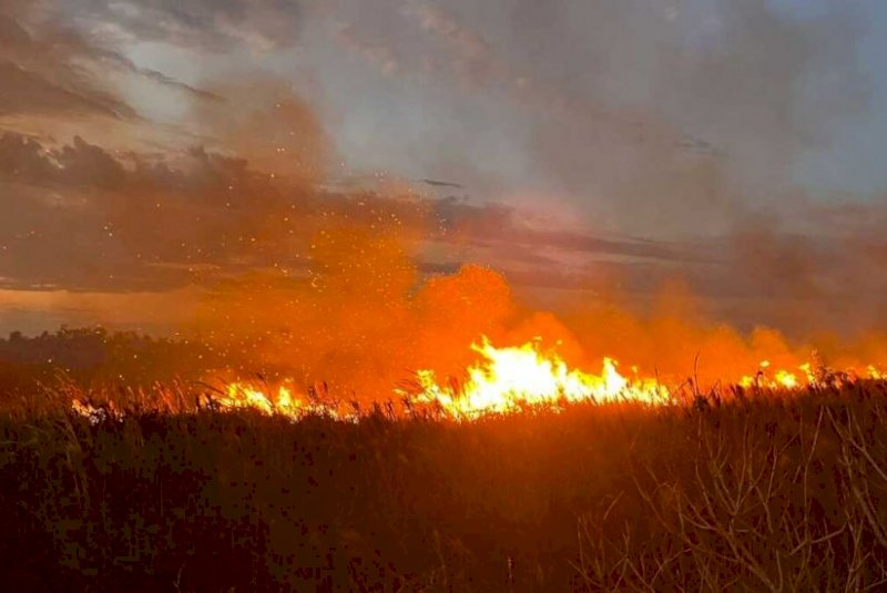 Incêndio criminoso em fazenda deixa prejuízo de R$ 40 mil em Dourados