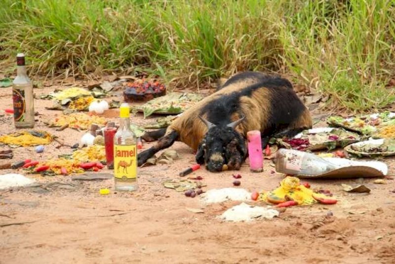 Oferenda com bode morto causa mau cheiro e incomoda moradores no MS