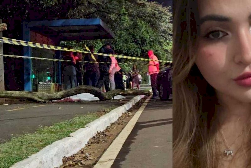 Governo lamenta morte de jovem atingida por galho no Parque dos Poderes