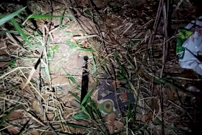 Suspeito de invadir e roubar casa morre em confronto com a polícia