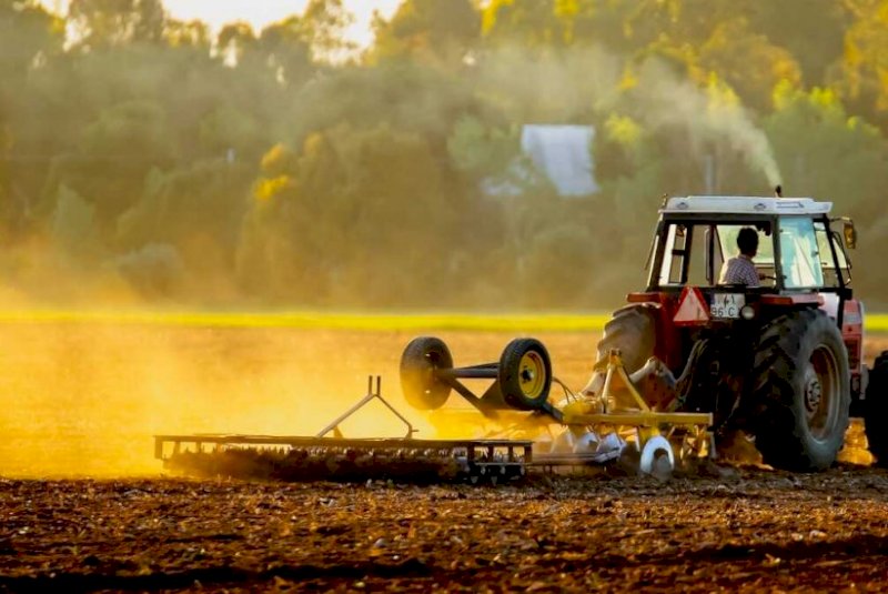Empresas do agro puxam alta de recuperações judiciais