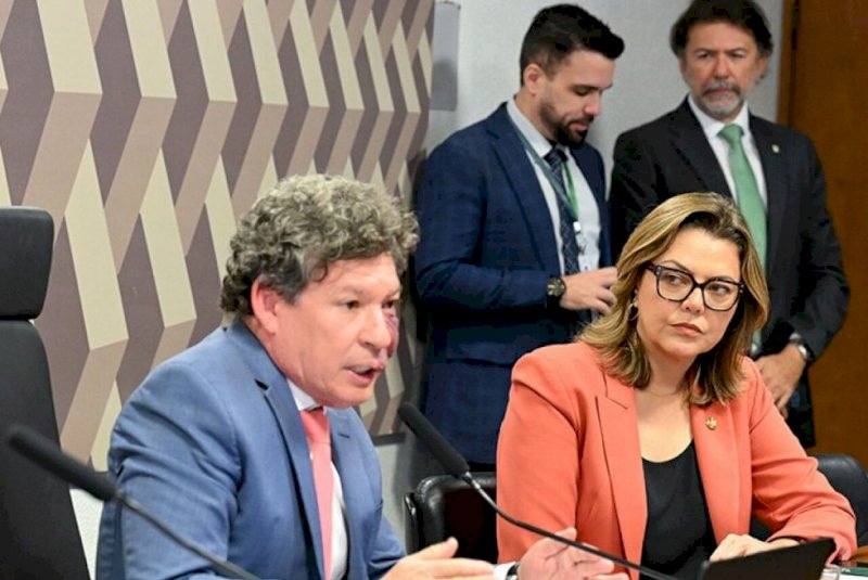 Leila diz que apresenta relatório da MP da 'taxa das blusinhas' na segunda