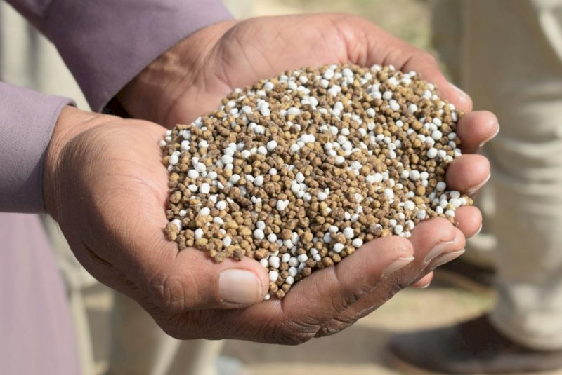Senado aprova linha de crédito para indústria de fertilizantes, mas sem estipular valores