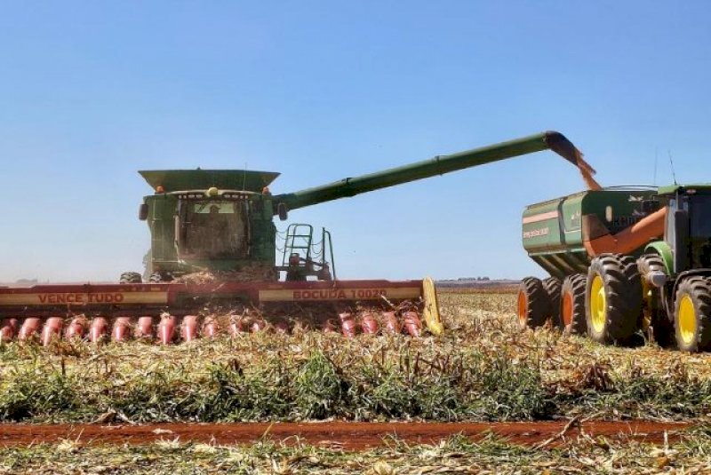 Mercado absorve metade da safra de milho e saca valoriza 6,4%