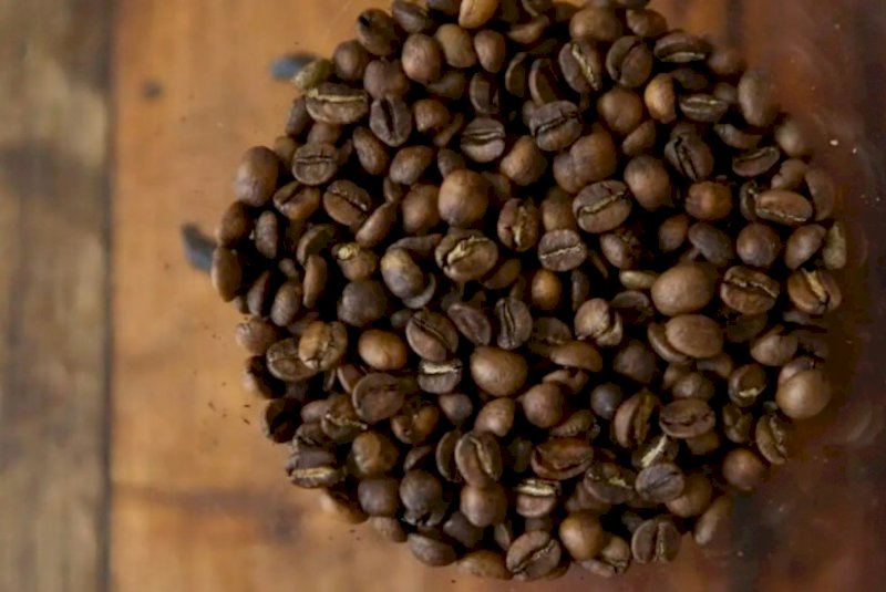 Exportações de café batem recorde histórico em agosto