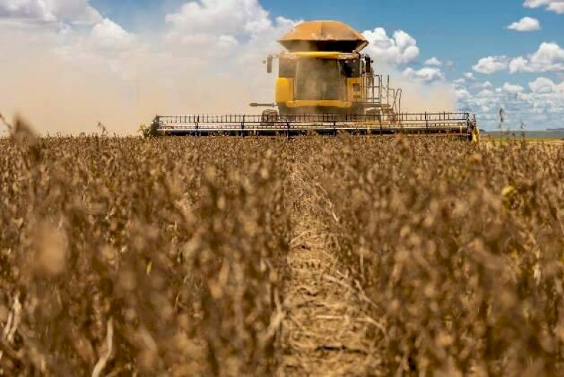 Soja em MS exige 42 sacas por hectare para cobrir custo na safra 2026/27