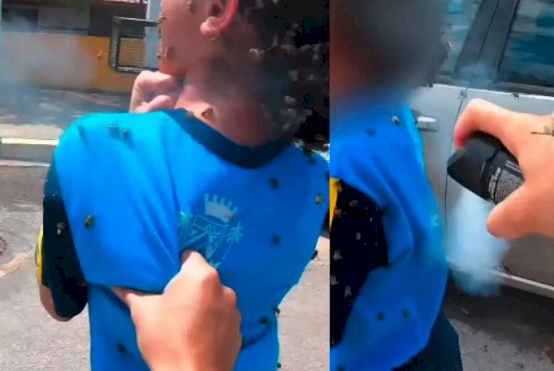 Criança é atacada por abelhas e motociclista leva mais de 40 picadas ao tentar salvá-la