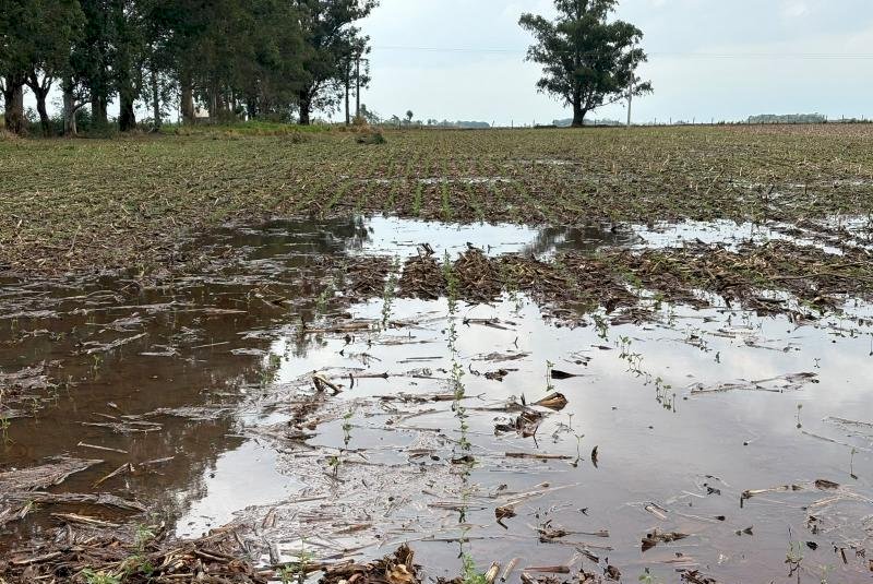Excesso de chuva exige atenção no plantio da soja
