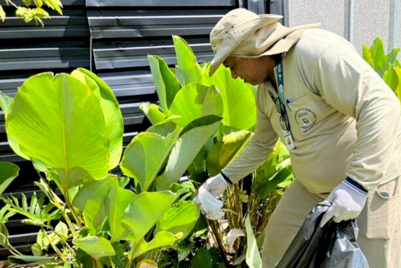 Mato Grosso do Sul registra 10,6 mil casos confirmados de chikungunya neste ano