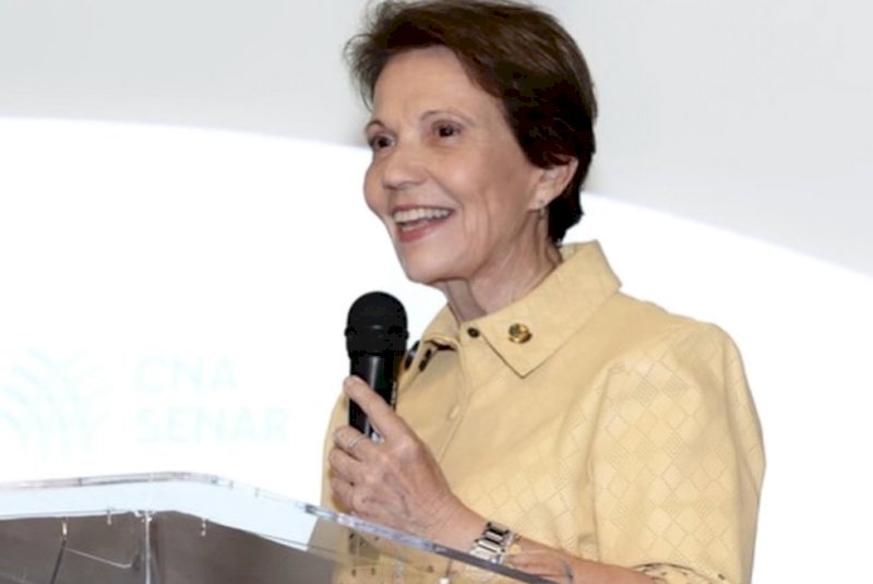 Tereza não sabe se disputará nova eleição para o Senado e diz que há clima para impeachment de ministros do STF