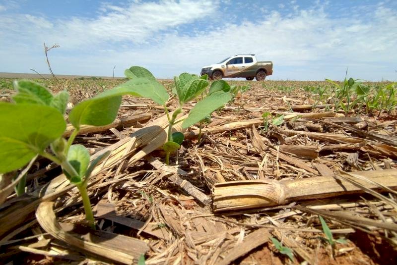 Mato Grosso do Sul já plantou 2,5 milhões de hectares de soja