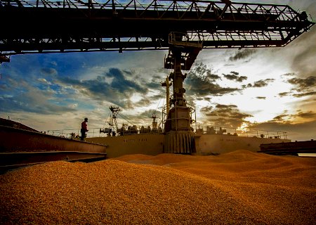 China pode abrir mercado para o milho brasileiro? Entenda