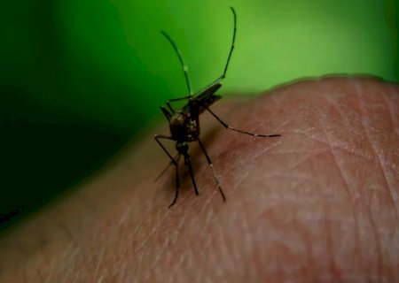 Saúde lança campanha de combate à Dengue, Zika e Chikungunya