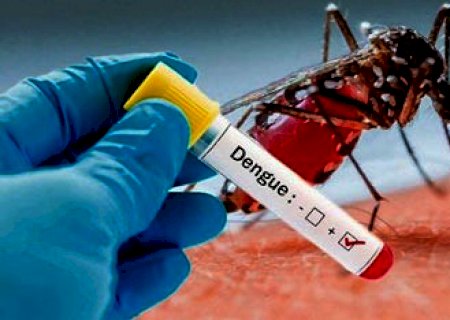 Mato Grosso do Sul registra 141 notificações por dengue em 7 dias