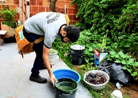 MS registra mais de 240 casos de dengue em uma semana