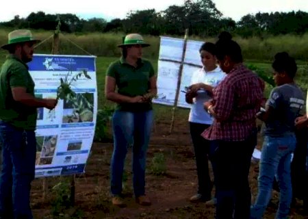 Seguem abertas inscri&ccedil;&otilde;es para mestrado e doutorado em Agronomia da Uems