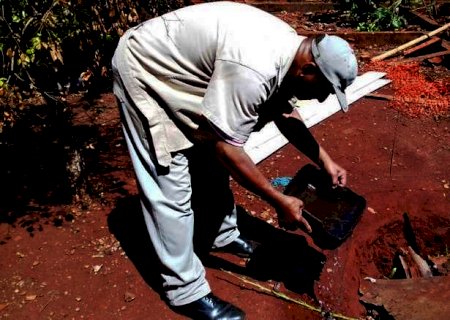 MS tem 198 casos prováveis de Chikungunya