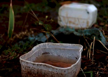 Em uma semana, notifica&ccedil;&otilde;es de dengue sobem 77% em MS