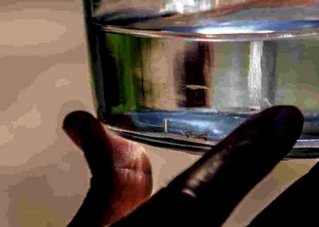 Em 7 dias, MS registra 62 novos casos e triplica notificações de dengue