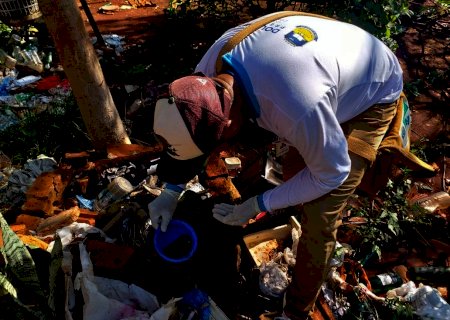 Em 7 dias, MS registra o dobro de casos de dengue e três municípios com alta incidência