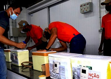 Governo distribui vacina contra covid aos 79 municípios, veja tabela de doses que cada uma recebe