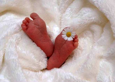 Apesar das muitas despedidas, nascimentos ainda superam mortes em MS