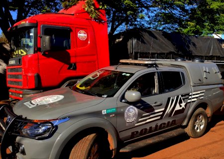 Motorista abandona carreta com quase 6 toneladas de drogas (Vídeo)