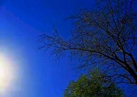 Dia amanhece com céu aberto e previsão é de calor com máxima de 37ºC