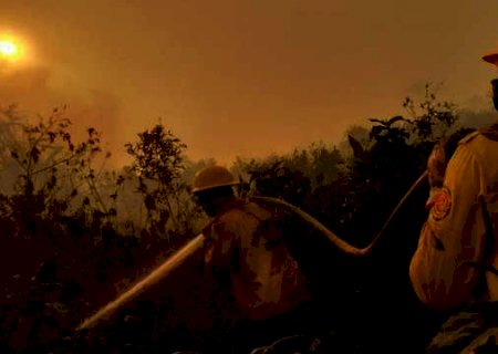 Portaria autoriza contrata&ccedil;&atilde;o de 95 brigadistas contra inc&ecirc;ndios no Pantanal