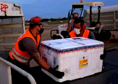 Novo lote com 51,5 mil doses de vacina chega em MS nesta quinta